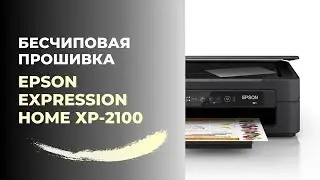 Бесчиповая прошивка Epson XP-2100 | Видеоинструкция