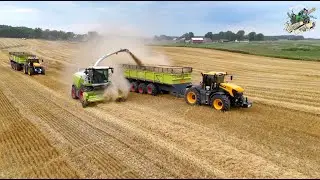 Chopping Wheat Straw with Zimmerman Family Harvesting | Wheat Harvest 2024