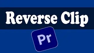 Premiere Pro 2024: How To Reverse Clip In Premiere Pro