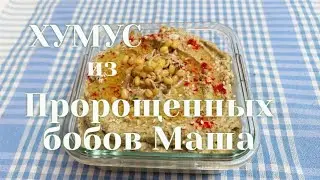 ХУМУС из Пророщенных бобов Маша! Не содержит глютен! Gluten-free HUMUS from sprouted mash beans!