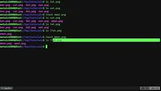 BASH Search Patterns Linux Shell Tutorial