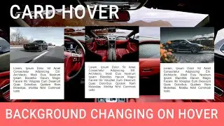 Background Change On Hover | Card Hover | HTML | CSS | Techy Programmers