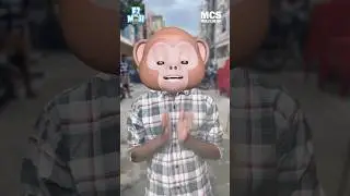 Jai vinayaka 🤕 #shorts #shortsvideo #video #trending