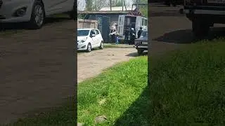 Тойлар Муборак.