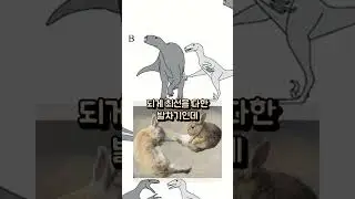 벨로키랍토르의 발톱은 어디에 사용했을까?