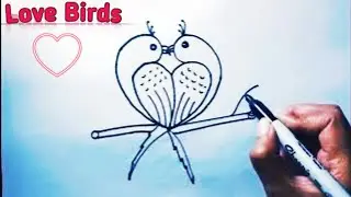 💥How to Draw Love Birds - Love Birds Drawing for Beginners(Step by Step)