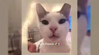 🔥 French Cat Remix (Jynxzi Cat Song) 😹