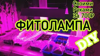 🔥МОЩНАЯ ФИТОЛАМПА🔥 40W СВОИМИ РУКАМИ🛠