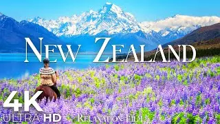 New Zealand: Paradise on Earth in 4K Ultra HD - Horizon view of Oceania by Relaxation Film