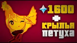 ПЕТУШИНЫЙ планер и 1600 примогемов | коротко про награды на годовщину / - genshin impact