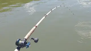 Catfish Catching Machine!