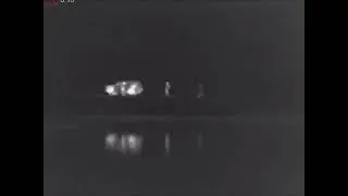 Автострелки в тепловизор /Auto shooters in thermal imager.