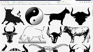 lesson 22 logo design and branding