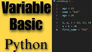 Mastering Variables in Python: A Comprehensive Guide for Beginners and Beyond