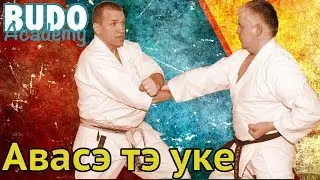 Техника авасэ тэ уке. Игорь Садовников