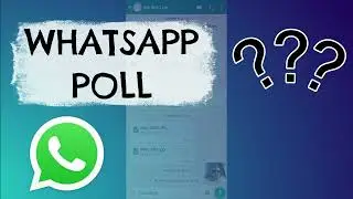 How to Create a Poll on WhatsApp and Share It