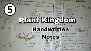 Plant Kingdom Part - 5 | Gymnosperms | Angiosperms | NEET | NCERT | Class 11th | Biology #neet2024