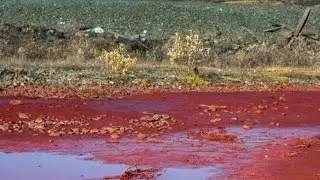 We now know what turned that Russian river red