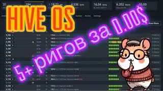 Hive OS 5+ ригов бесплатно в одной учетной записи. Доходный майнинг с удобным мониторингом 2023.btc