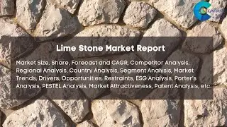 Lime Stone Market Report 2024