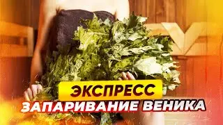 Как запарить веник для бани за 15 минут — совет чемпиона России | Народный камин