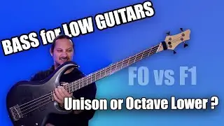 Bass and Low-Tuned Guitars - Octave lower or in Unison?