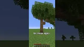 minecraft *garip* hata ⛏💎
