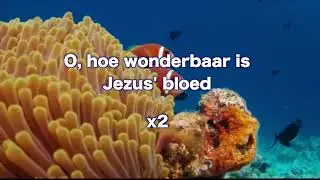 Opwekking 002 O, hoe wonderbaar is Jezus' bloed 1B