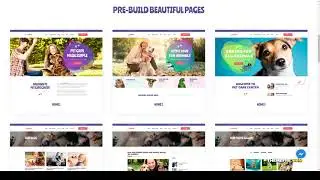 Petie - Pet Care Center and Veterinary WordPress Theme vet store pet care Kitano