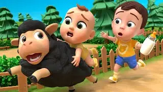 Baa Baa Black Sheep Song | Lalafun Nursery Rhymes & Kids Songs