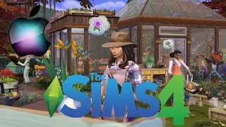 The Sims 4 On MacBook Pro 13 2019 Base Model