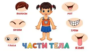 Учим части тела для детей Развивающие мультики для малышей