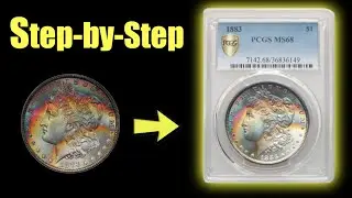 How to Submit Coins to PCGS for Grading – Definitive Guide!