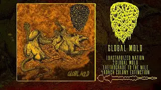 DISREGARD THE MOLDY CHEESE - GLOBAL MOLD [OFFICIAL EP STREAM] (2023) SW EXCLUSIVE