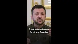 Trump has signaled support for Ukraine: Zelenskyy