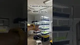 Минимум вложений и Максимум  прибыли