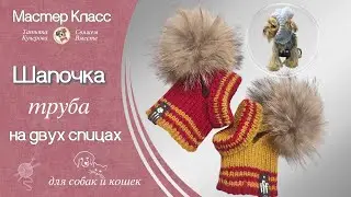 Шапочка труба для собаки, Dog hat DIY