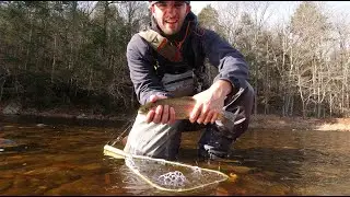 Massachusetts is HIGHLY UNDERRATED for fly fishing. Awesome late fall trout action