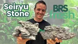 Aquarium Seiryu Stone - BEST Aquascaping Stone!