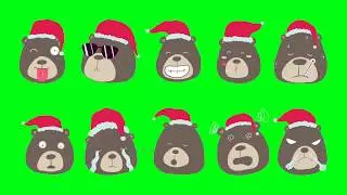 🐻 CHRISTMAS BEAR Green Screen Effects