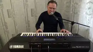 В разлуке. Дмитрий Каверин. Аранжировщик YAMAHA psr-SX 900.