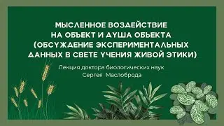 Мысленное воздействие на объект и душа объекта (в свете учения 