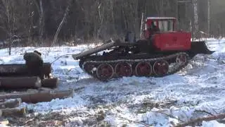 Трелёвочный трактор ТДТ-55 - видео с сайта 