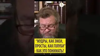 МУДРЫ КАК ЗМЕИ , ПРОСТЫ КАК ГОЛУБЫ КАК ЭТО ПОНИМАТЬ ? Священник Олег Стеняев