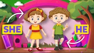 He She It They - English Grammar For Kids with Novakid 0+