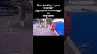 Моя собака самая смелая, также она