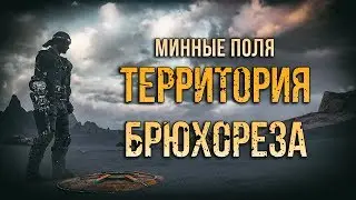 Минные поля Mad Max - Территория Брюхореза