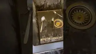 Bebek kahvaltısı | bu kez 