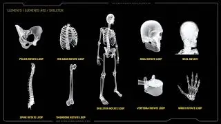 Medicine HUD Infographics | After Effects template