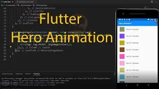 Flutter Hero Animations .Google Flutter Hero Animations